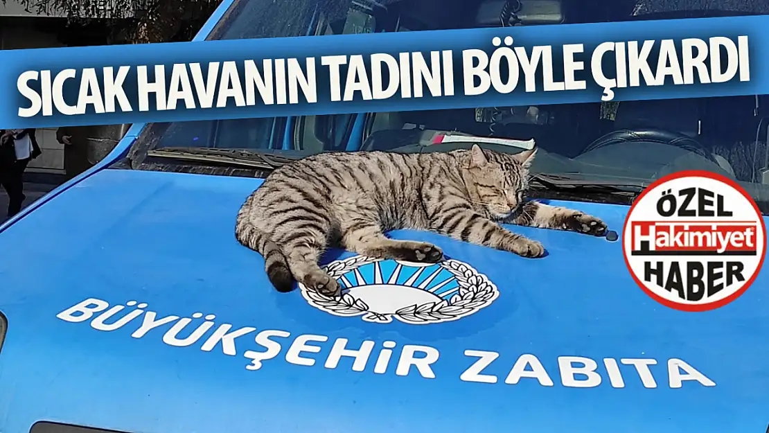 Sıcak havanın keyfini böyle çıkardı...  Müzeye karşı zabıta aracında güneş banyosu!