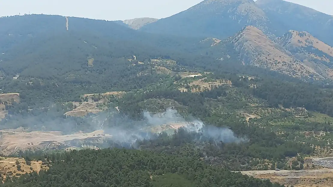 Soma'da çıkan orman yangını kontrol altına alındı