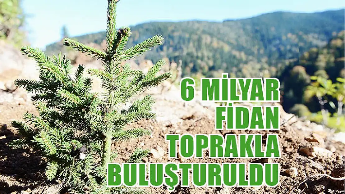 6 Milyar Fidan Toprakla Buluşturuldu