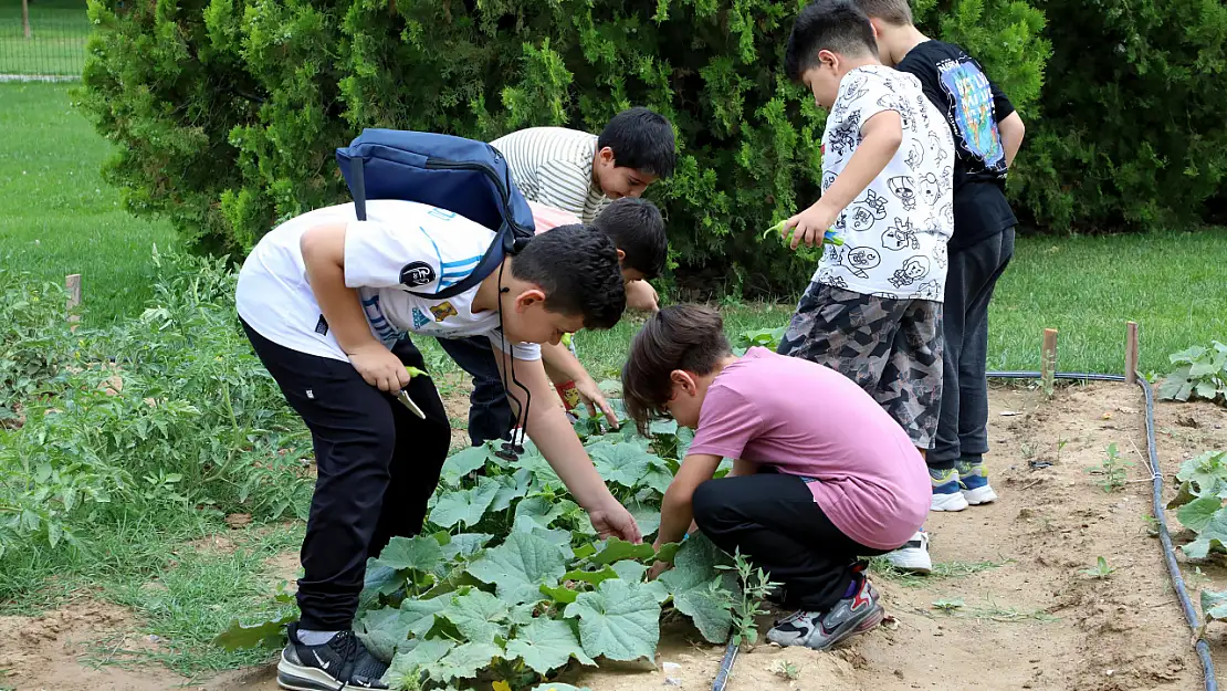 Tabiatın içinde hem öğreniyor hem eğleniyorlar