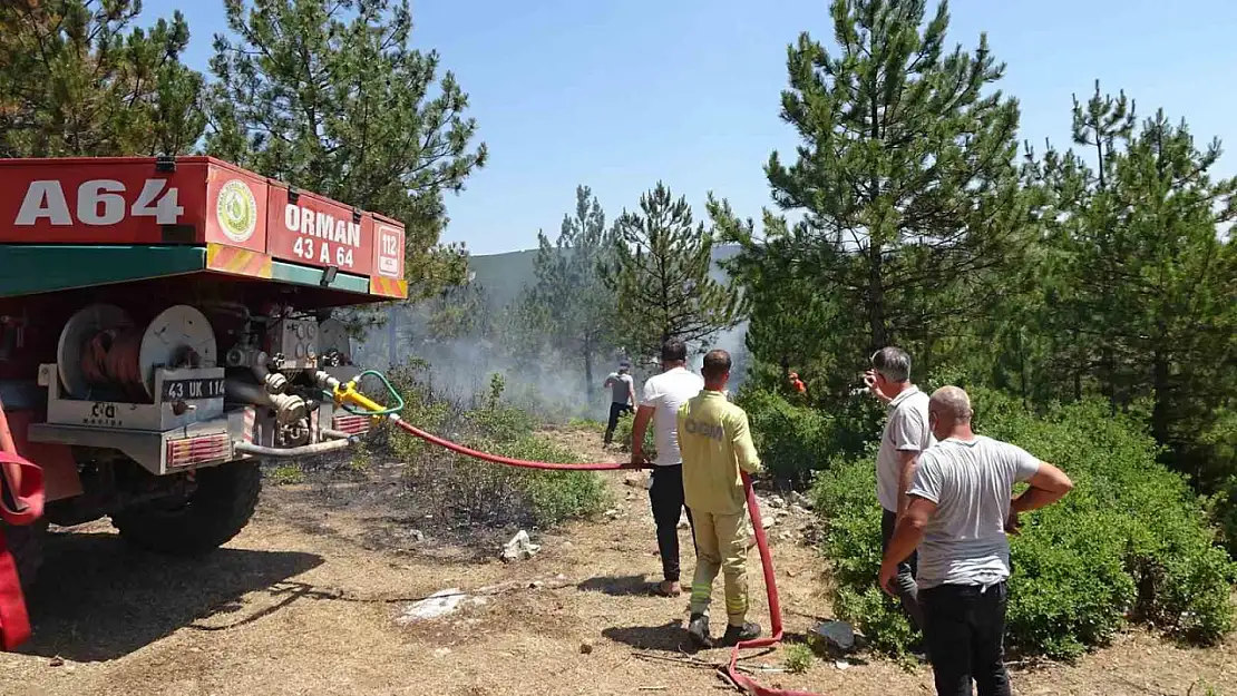 Tavşanlı'da çıkan orman yangını söndürüldü