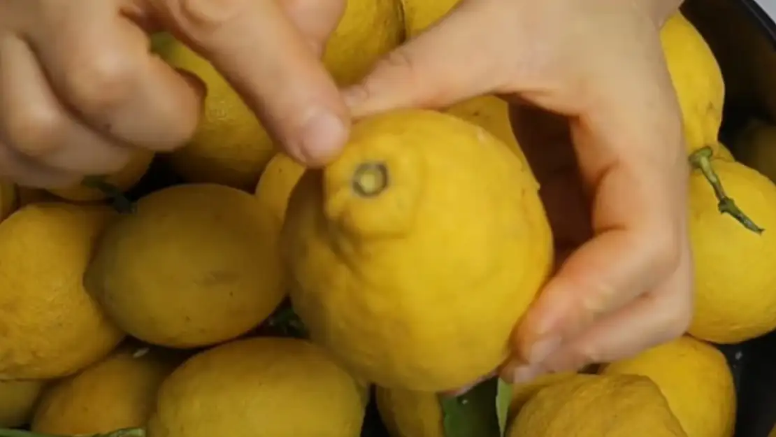 Taze limonları saklama tüyosu. Tam bir sene küflenmiyor ve tadı değişmiyor