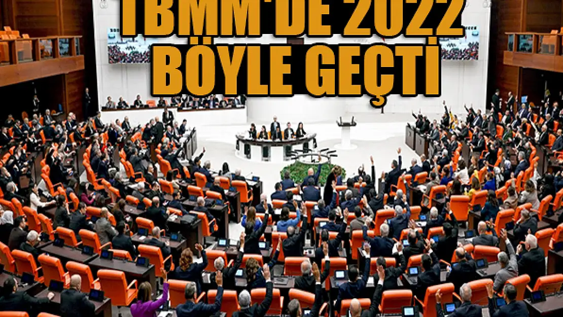 TBMM'de 2022 böyle geçti