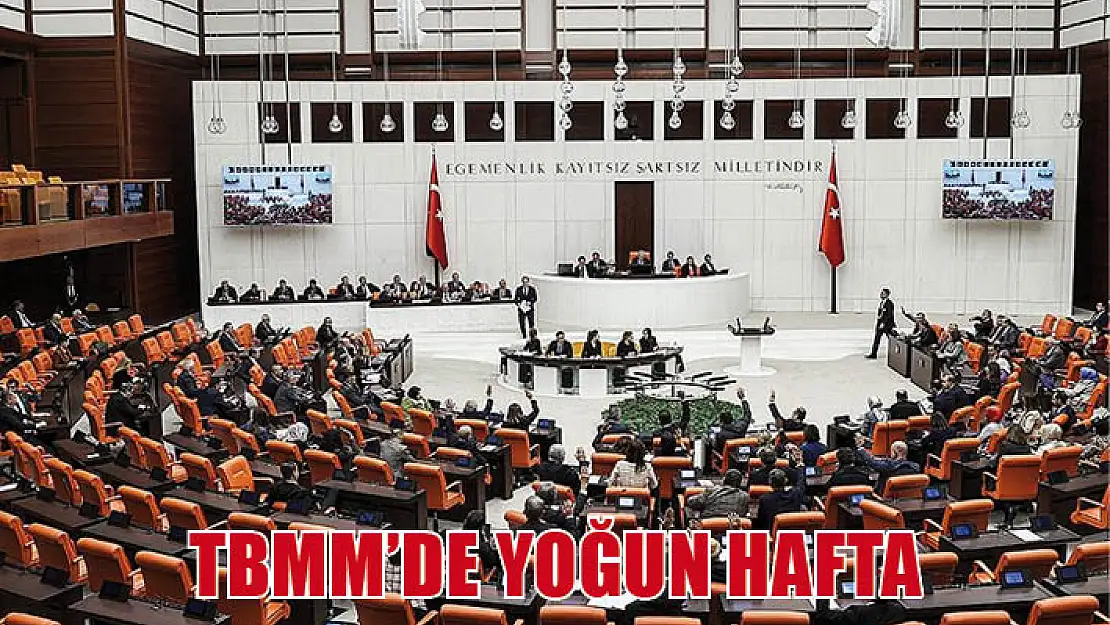 TBMM'de yoğun hafta