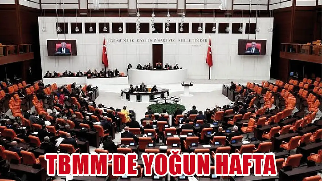 TBMM'de yoğun hafta