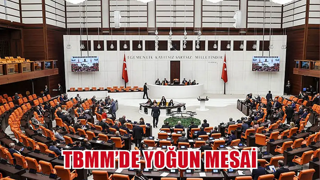 TBMM'de yoğun mesai