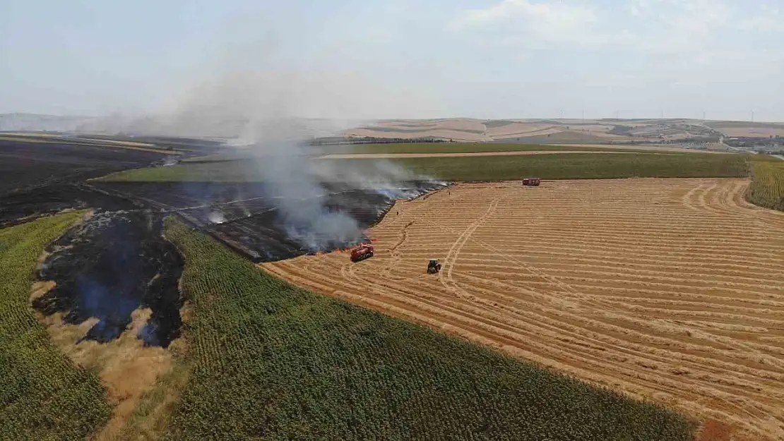 Tekirdağ'da 19 bin 676 dekar tarım arazisi zarar gördü