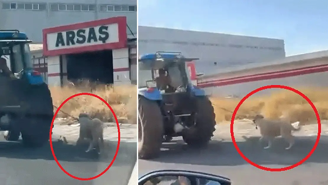 Tepki çeken görüntü: Traktörün arkasından böyle koşturdu