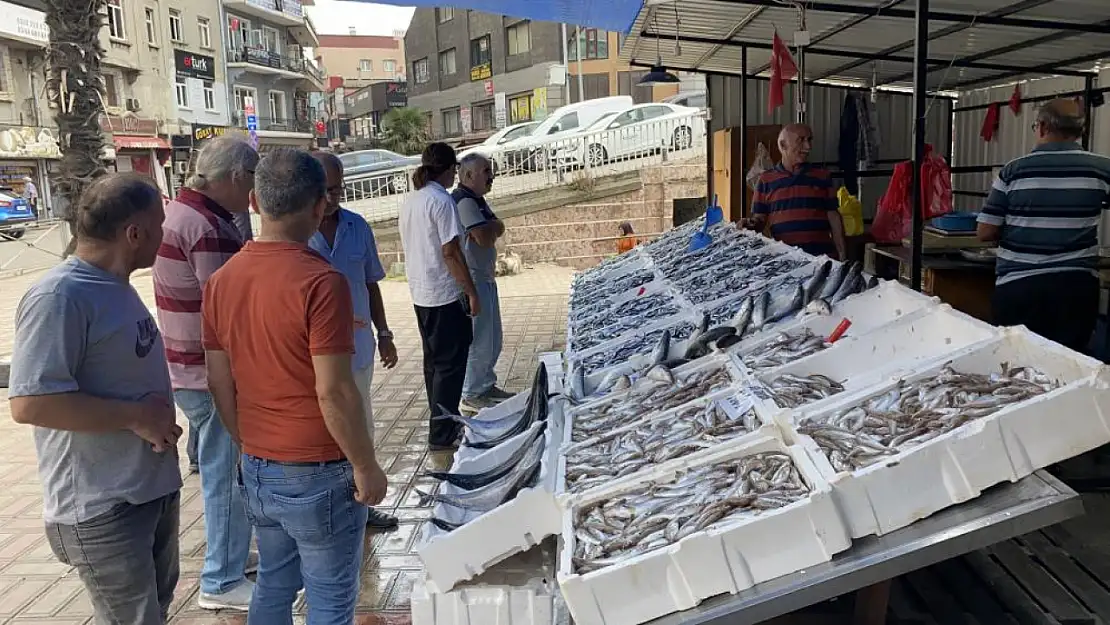 Tezgahlar hamsiyle doldu! Hamsinin fiyatını uygun! Vatandaşlar yoğun ilgi gösterdi!