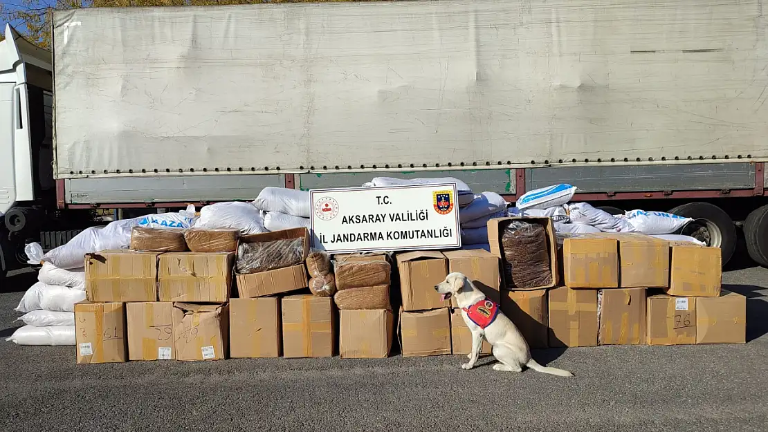 Tır dorsesinde 1 ton 734 kilo kaçak tütün ele geçirildi