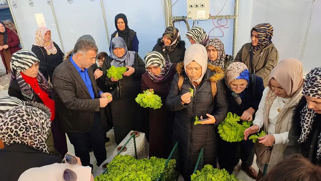 Topraksız tarım projesine kadın çiftçilerden yoğun ilgi