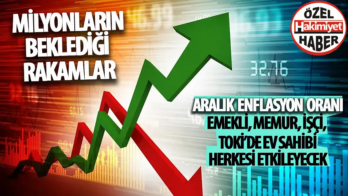 TÜİK'in 2023 Aralık Ayı Enflasyon Rakamları Herkes Etkileyecek