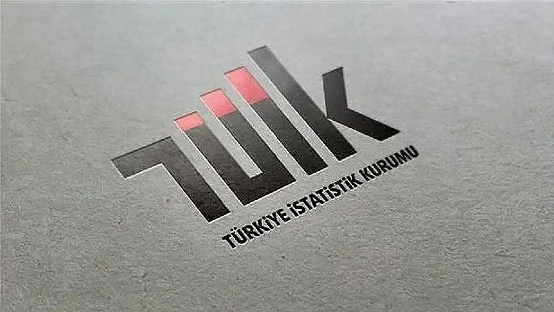 TÜİK ülke içi göç etme nedenlerini gelecek hafta ilk kez açıklayacak