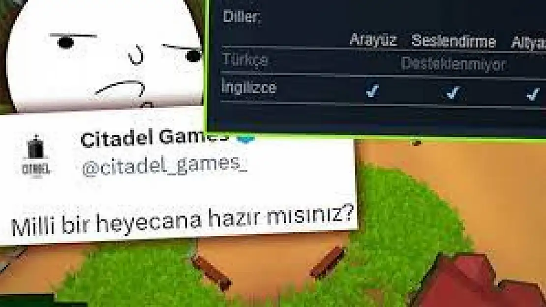 Türk Oyun Şirketi Citadel Games'den tepki çeken çağrı