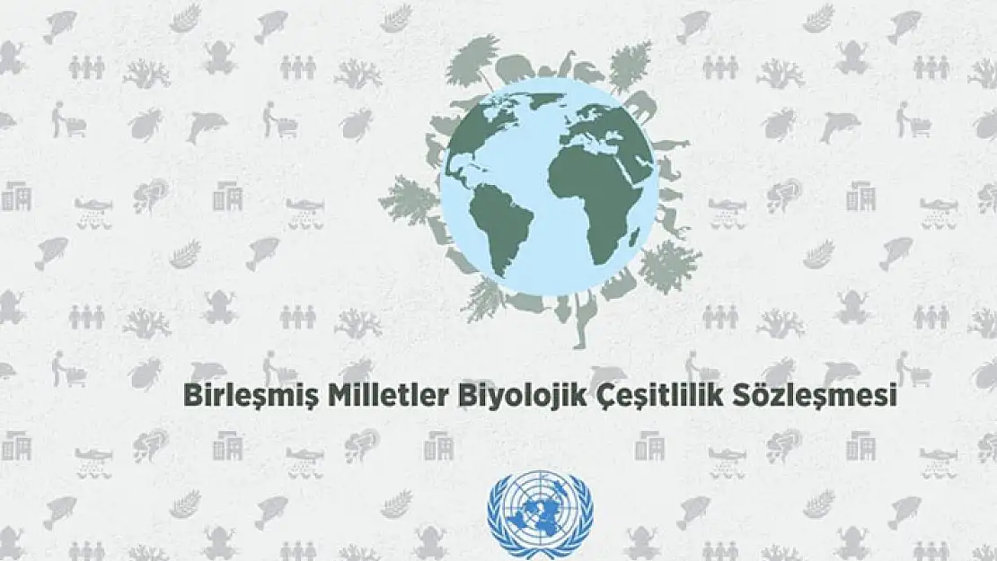 Türkiye, BM Biyolojik Çeşitlilik Sözleşmesi'nin 2024-26 dönem başkanlığını yürütecek