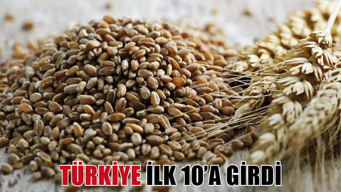 Türkiye çavdar üretiminde ilk 10'a girdi