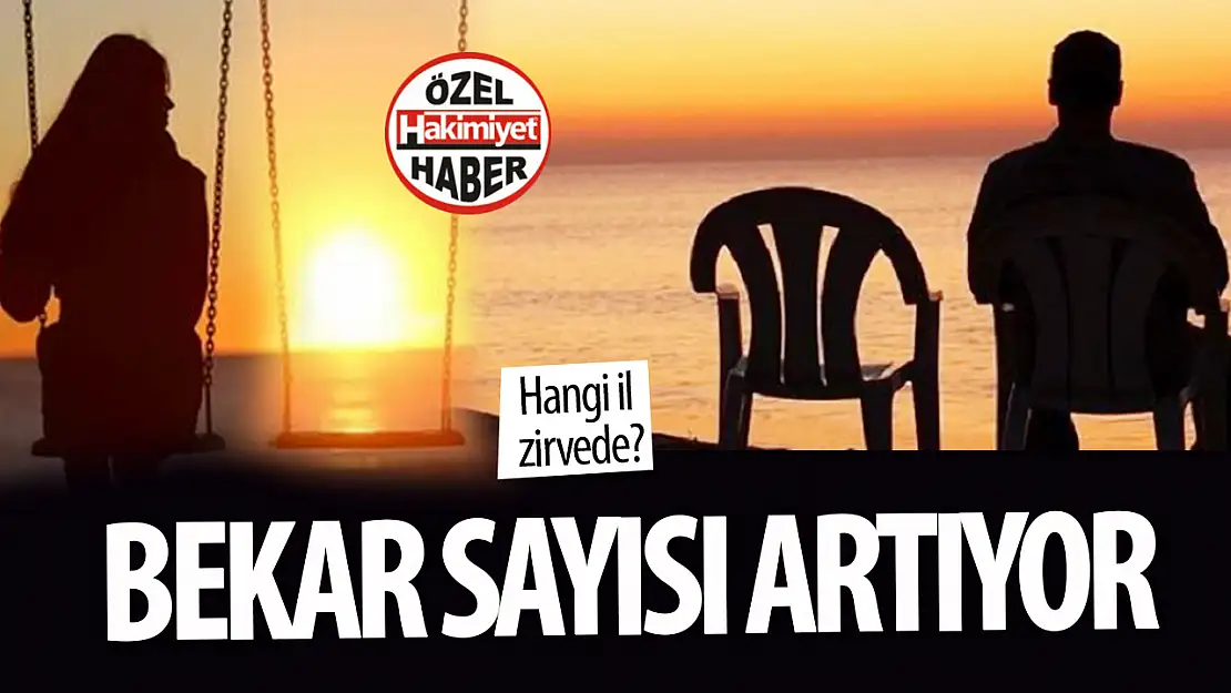 Türkiye'de bekar nüfus oranı yükseliyor: Hangi iller zirvede?