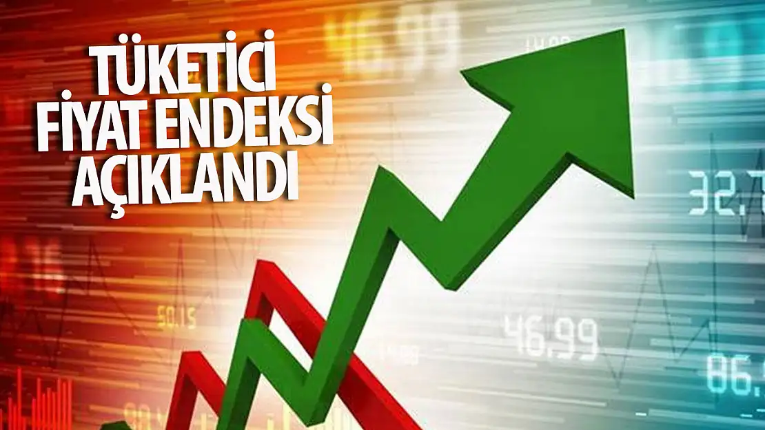 Tüketici Fiyat Endeksi Verileri Açıklandı