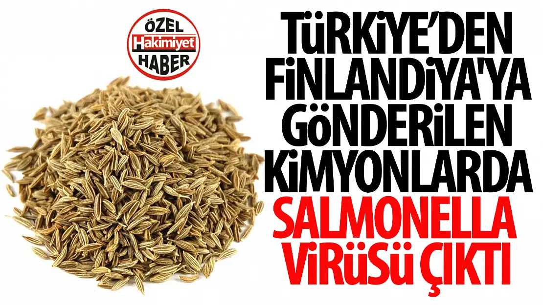 Türkiye'den Finlandiya'ya ihraç edilen kimyonlarda Salmonella tespit edildi!