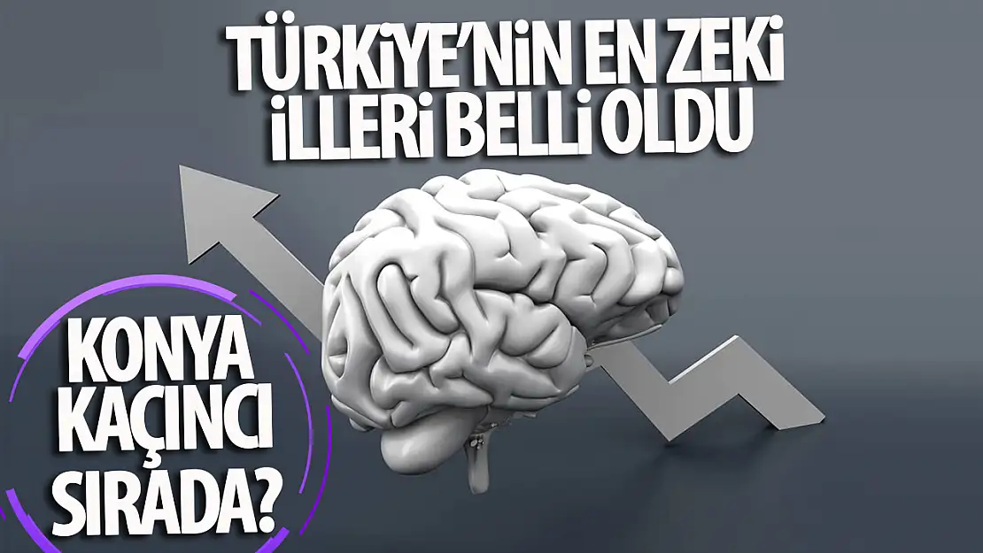 Türkiye'nin en zeki illeri belli oldu: Peki Konya kaçıncı sırada?