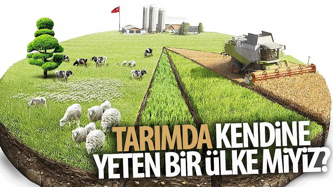 Türkiye tarımda kendine yetiyor mu? Bitkisel ürün denge tabloları açıkladı