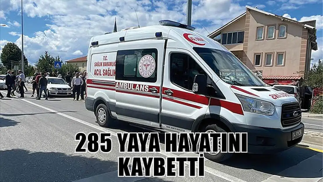 Türkiye'de 10 aydaki trafik kazalarında 285 yaya hayatını kaybetti