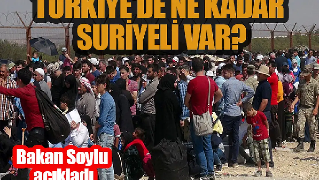 Türkiye'deki Suriyeli sayısı ne kadar? Bakan soylu açıkladı