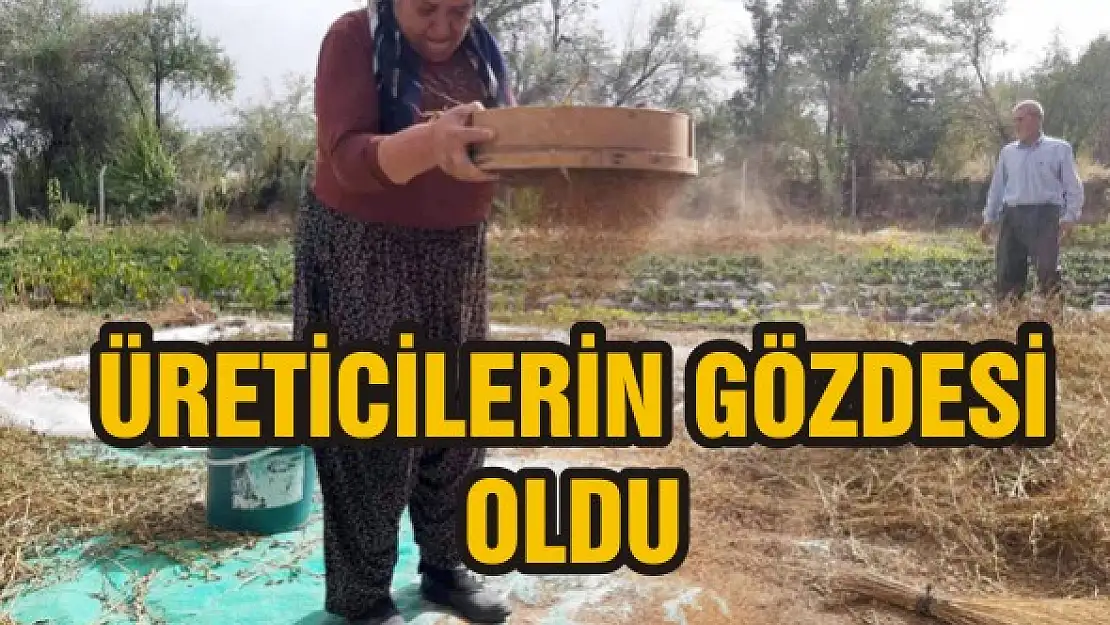 Üreticilerin gözdesi oldu