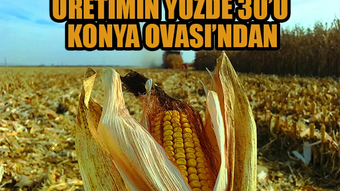 Üretimin yüzde 30'u Konya Ovası'ndan