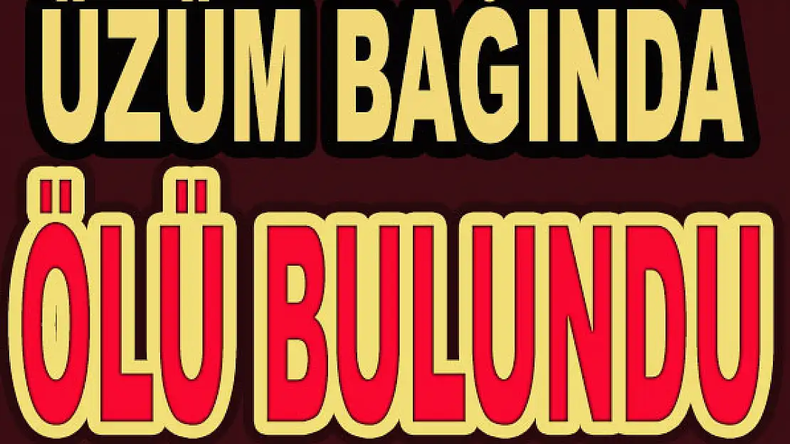 Üzüm bağında ölü bulundu!