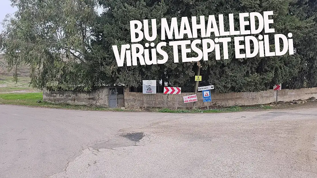 Virüs tespit edildi: Mahalle karantinaya alındı!