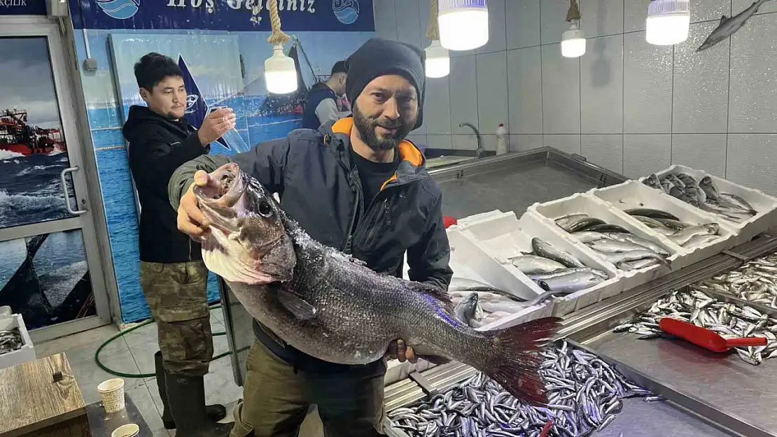 Yakaladığı levreği tartıp şaşkına döndü