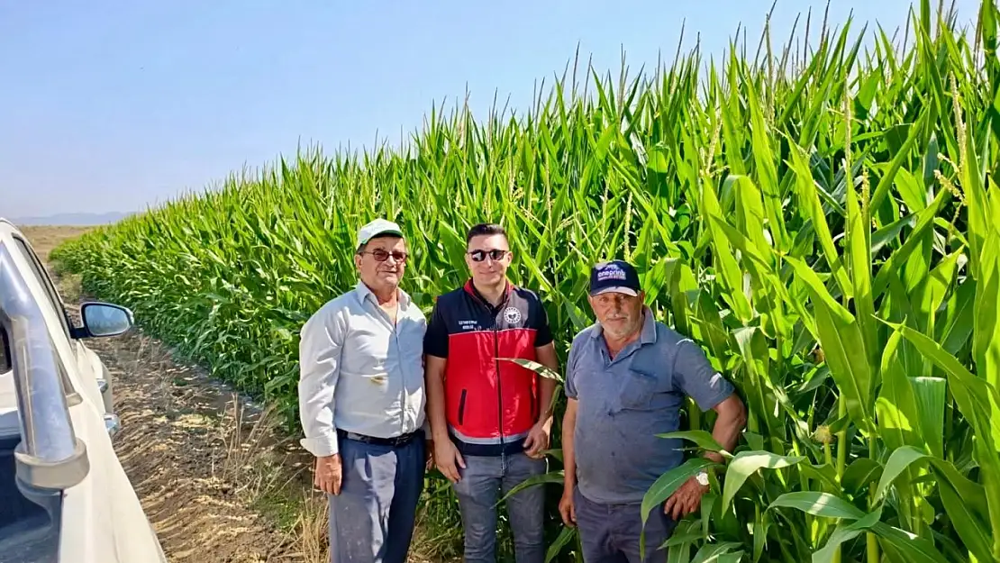 Yalıhüyük'te tarım ekipleri incelemelerde bulunuyor