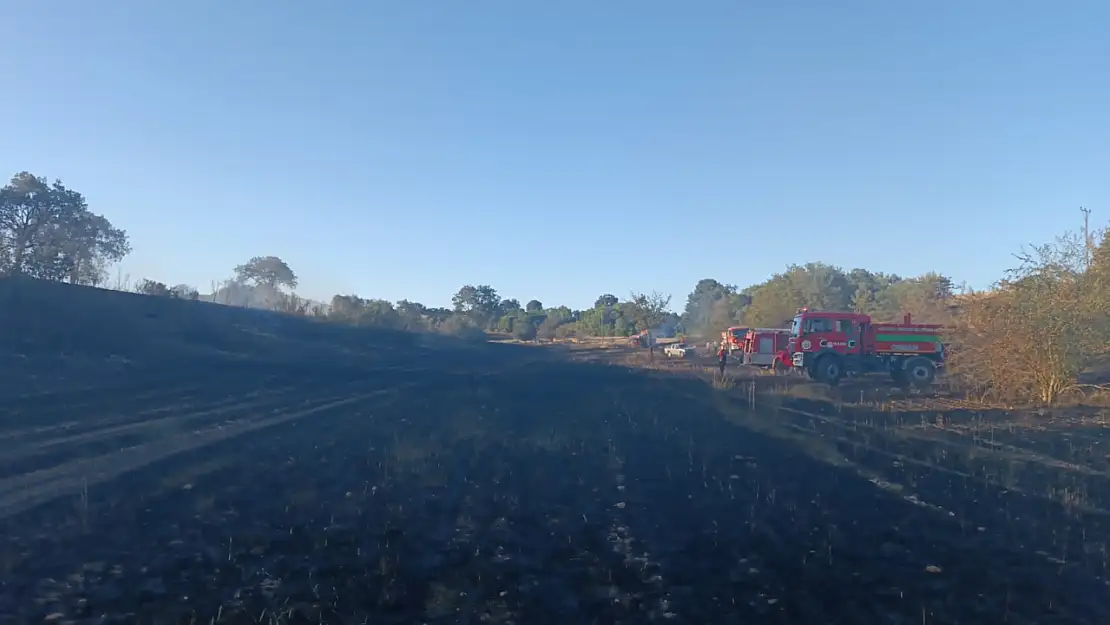 Yangın sonucu 130 dönüm buğday ekili alan zarar gördü