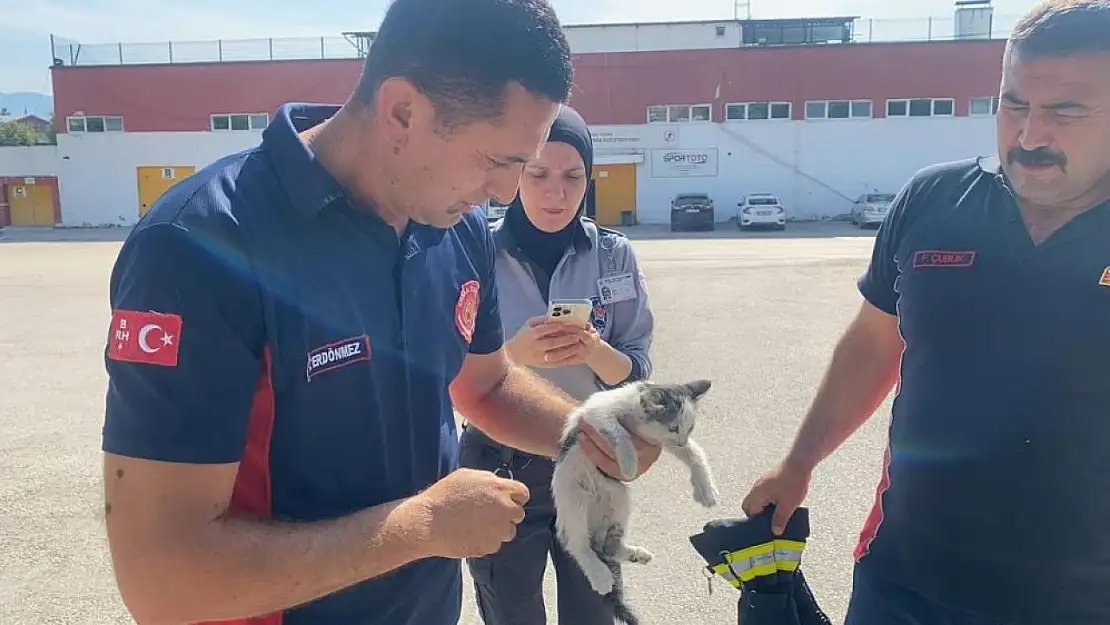  Yaramaz kedinin yaptığına bak hele....