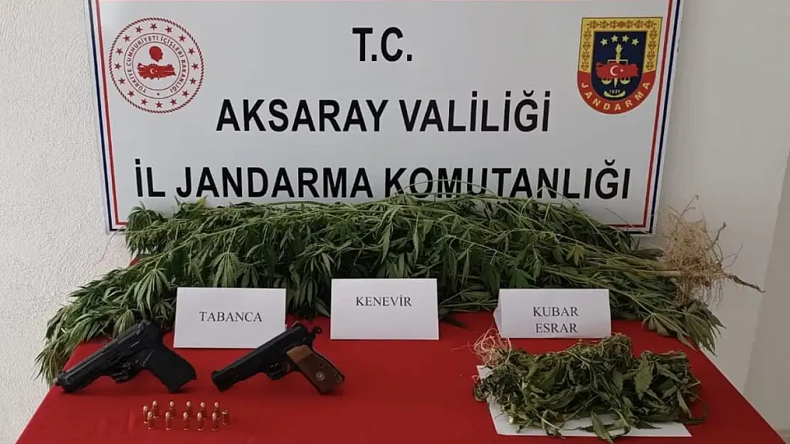 Yasa dışı kenevir üretimine jandarma darbesi