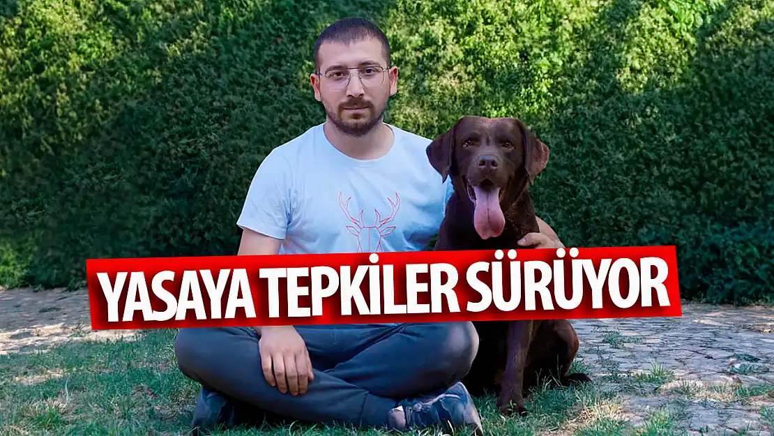 Yasaya bir tepki de köpek eğitmenlerinden