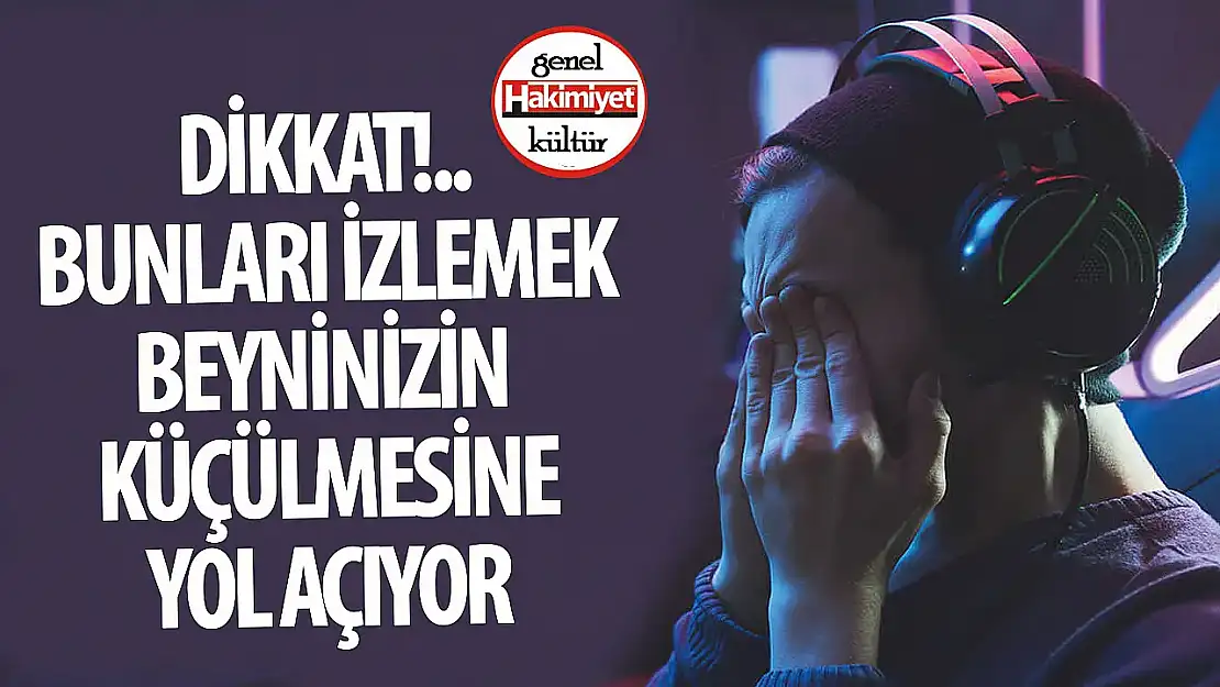 Yetişkin Filmleri Beyni Küçültüyor