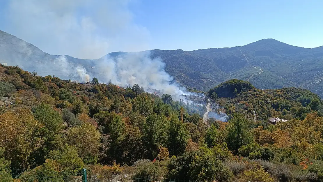 Zirai alanda yangın çıktı!