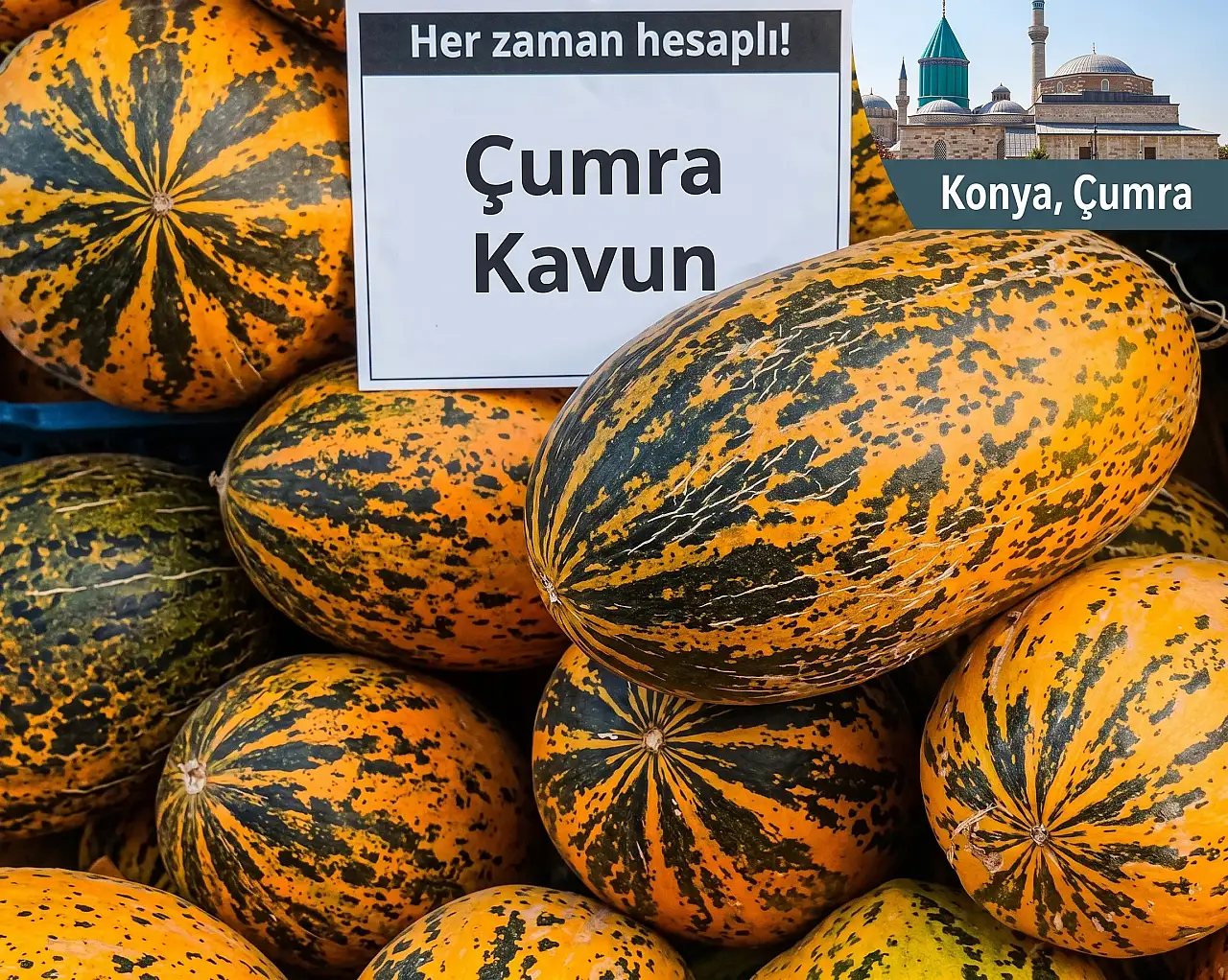 Konya Ovası'nın eşsiz lezzetine tarla incelemesi