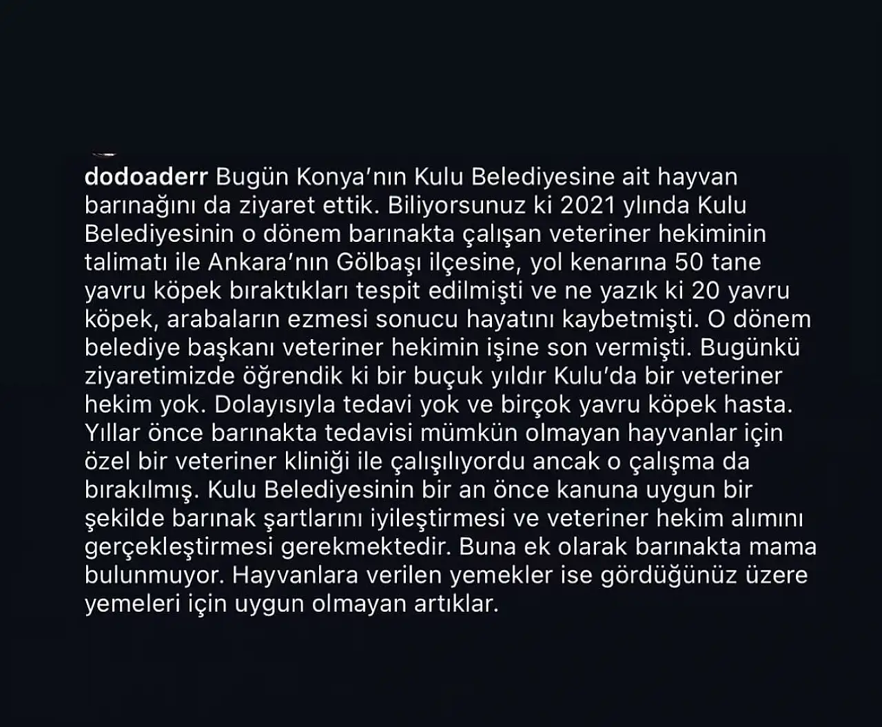 Konya'da hayvan barınağıyla ilgili skandal iddia