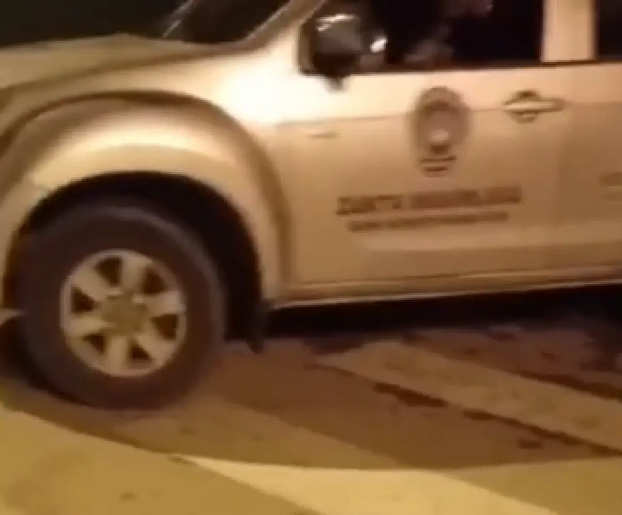 Vicdansızlığın bu kadarı: Sokak köpeklerinin toplanma biçimine tepki!
