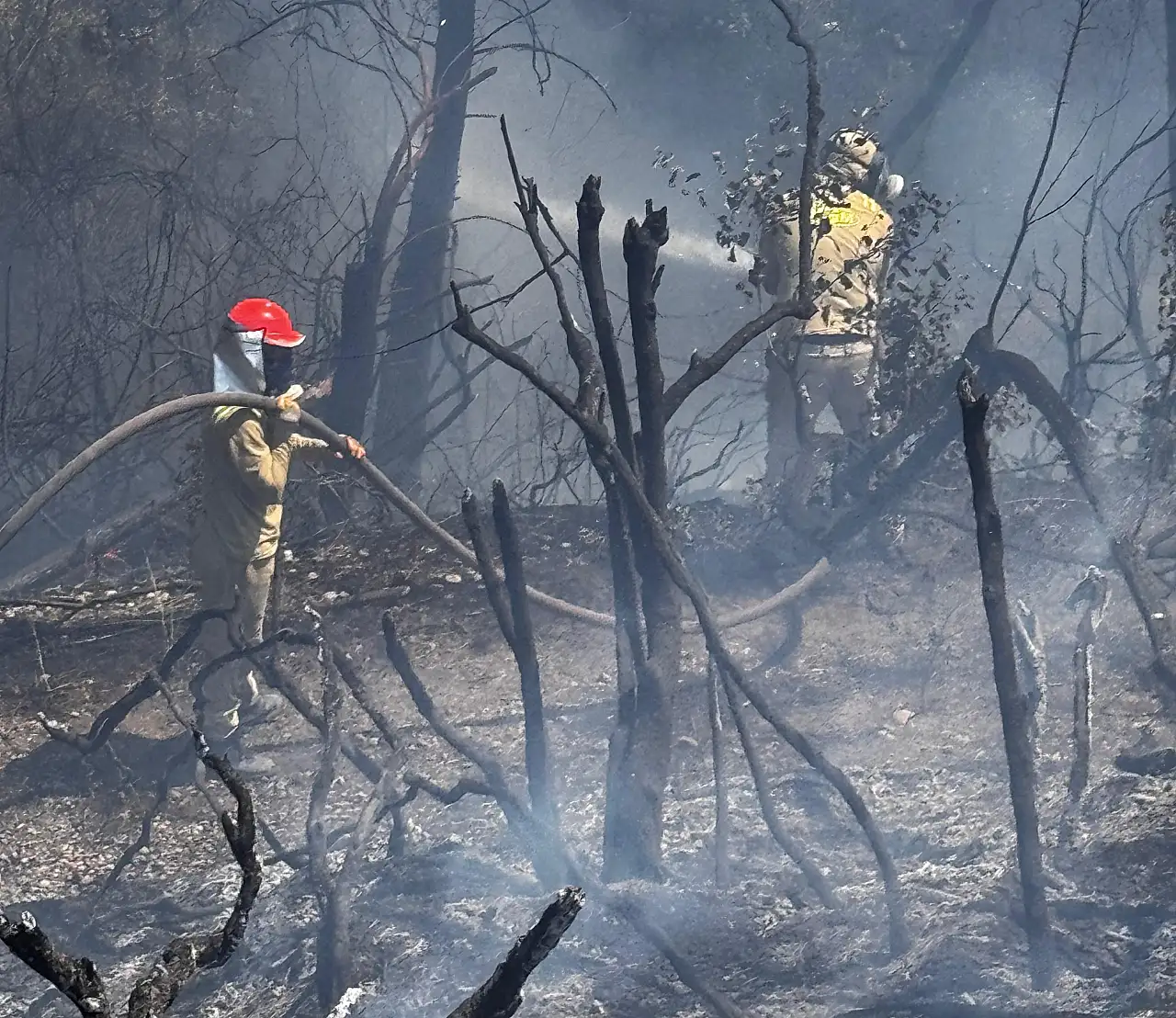 Osmaniye'de korkutan yangın