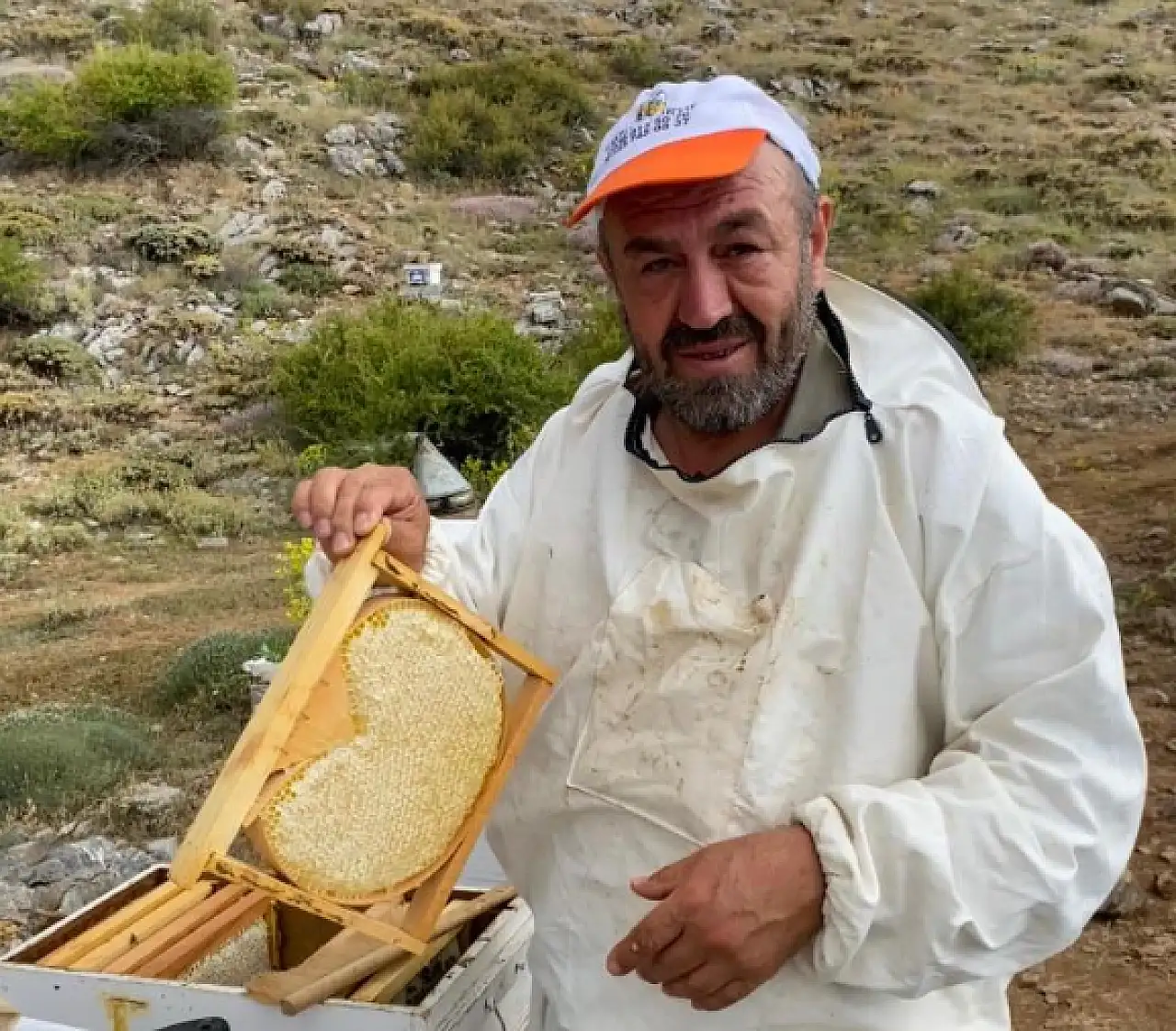 Konya'da bal üreticilerinin yüzü güldü!