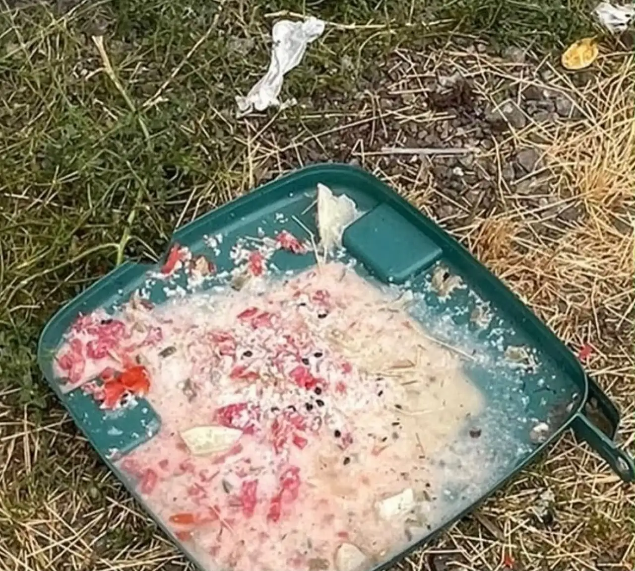 Konya'da hayvan barınağıyla ilgili skandal iddia