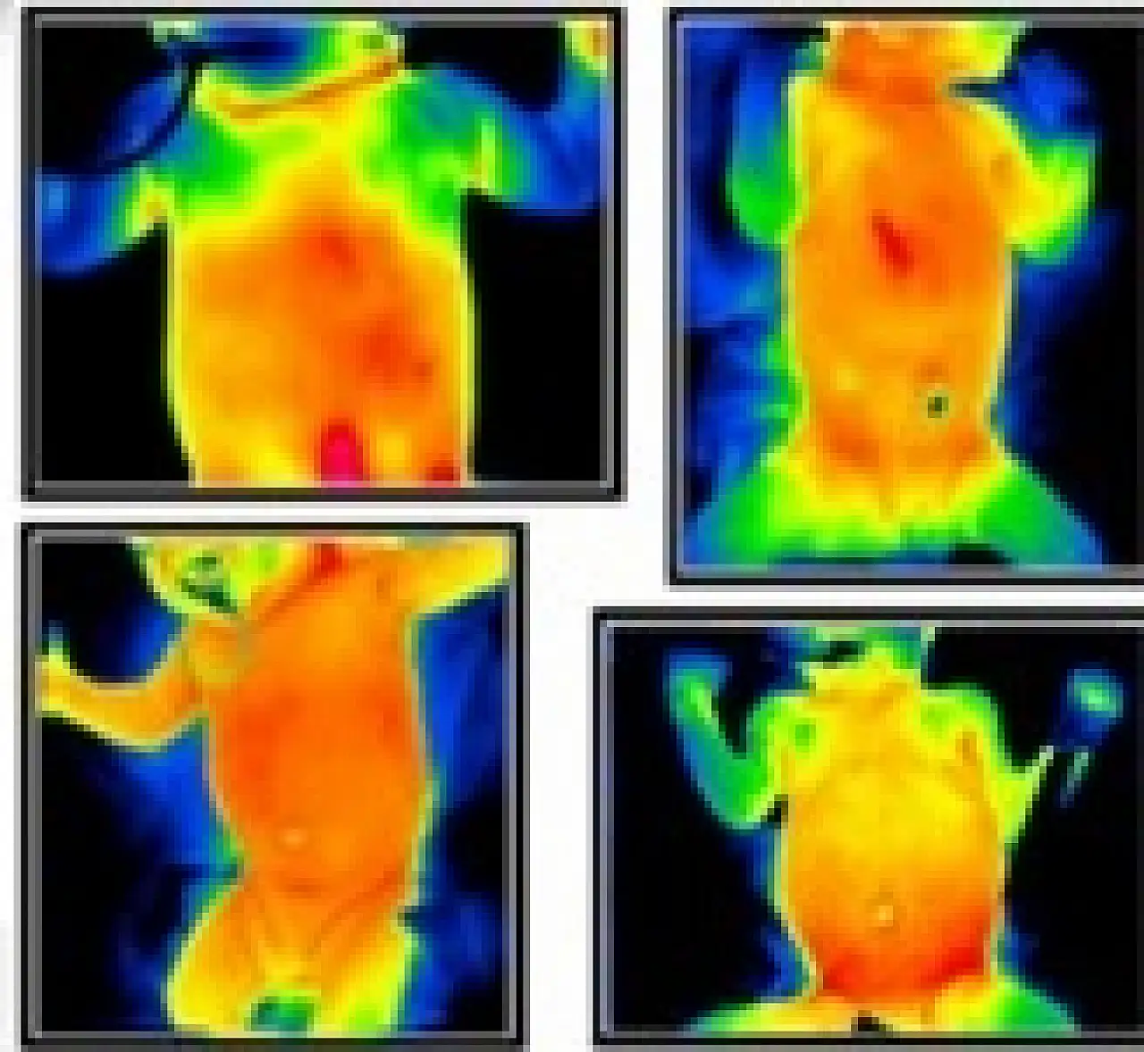 KTÜN' den prematüre bebekler için yapay zeka destekli sağlık çözümü