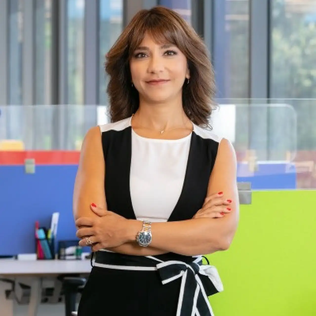 Zeynep Sarsan kimdir? Kaç yaşında? Zeynep Sarsan'ın Vestel'deki görevi nedir? Assan'daki görevi neydi?