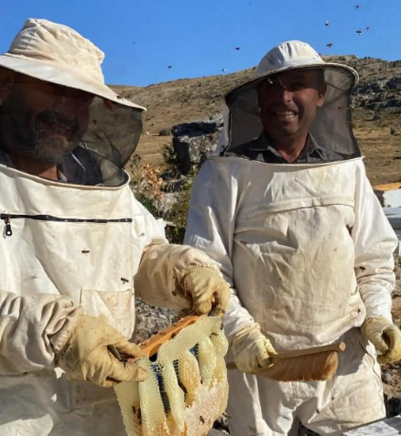 Konya'da bal üreticilerinin yüzü güldü!