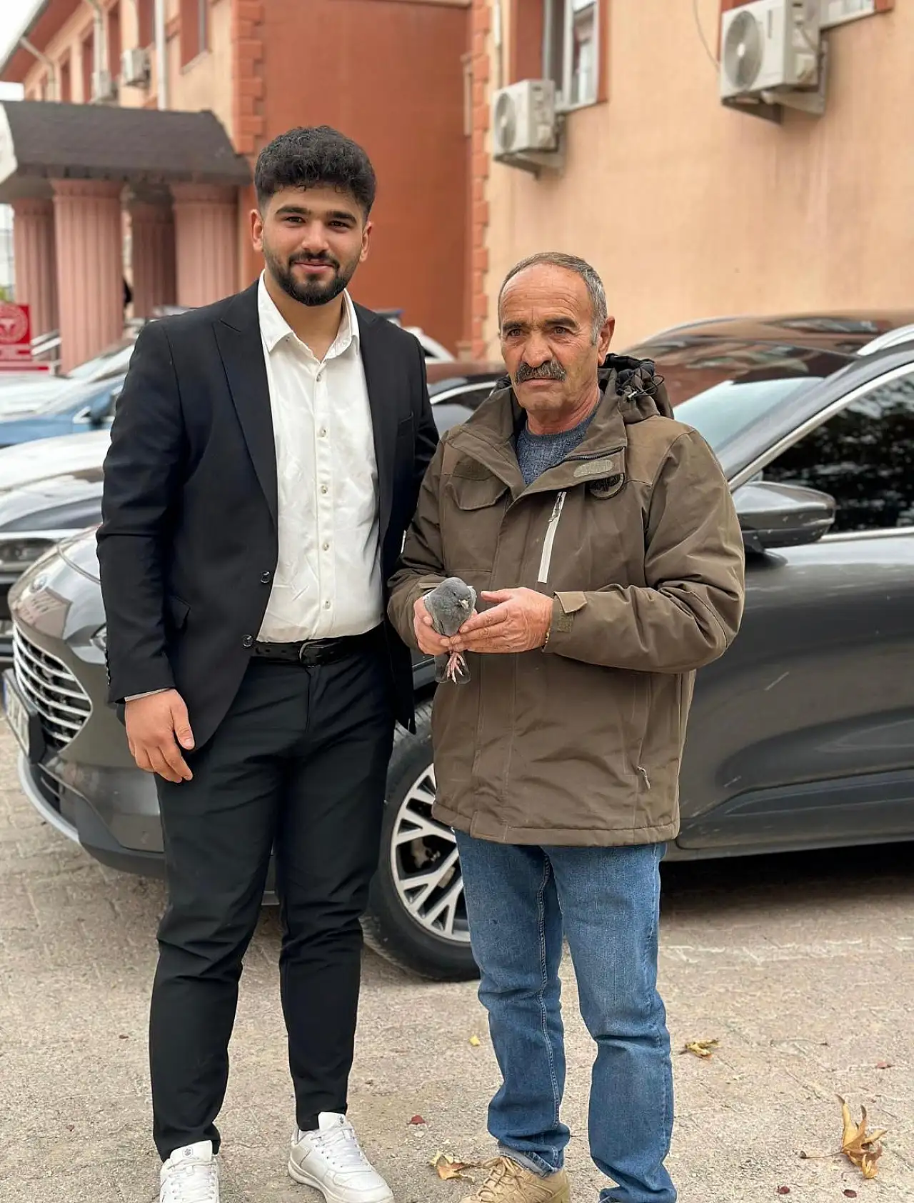 Yaralı peçeli baykuş ve güvercin bulundu