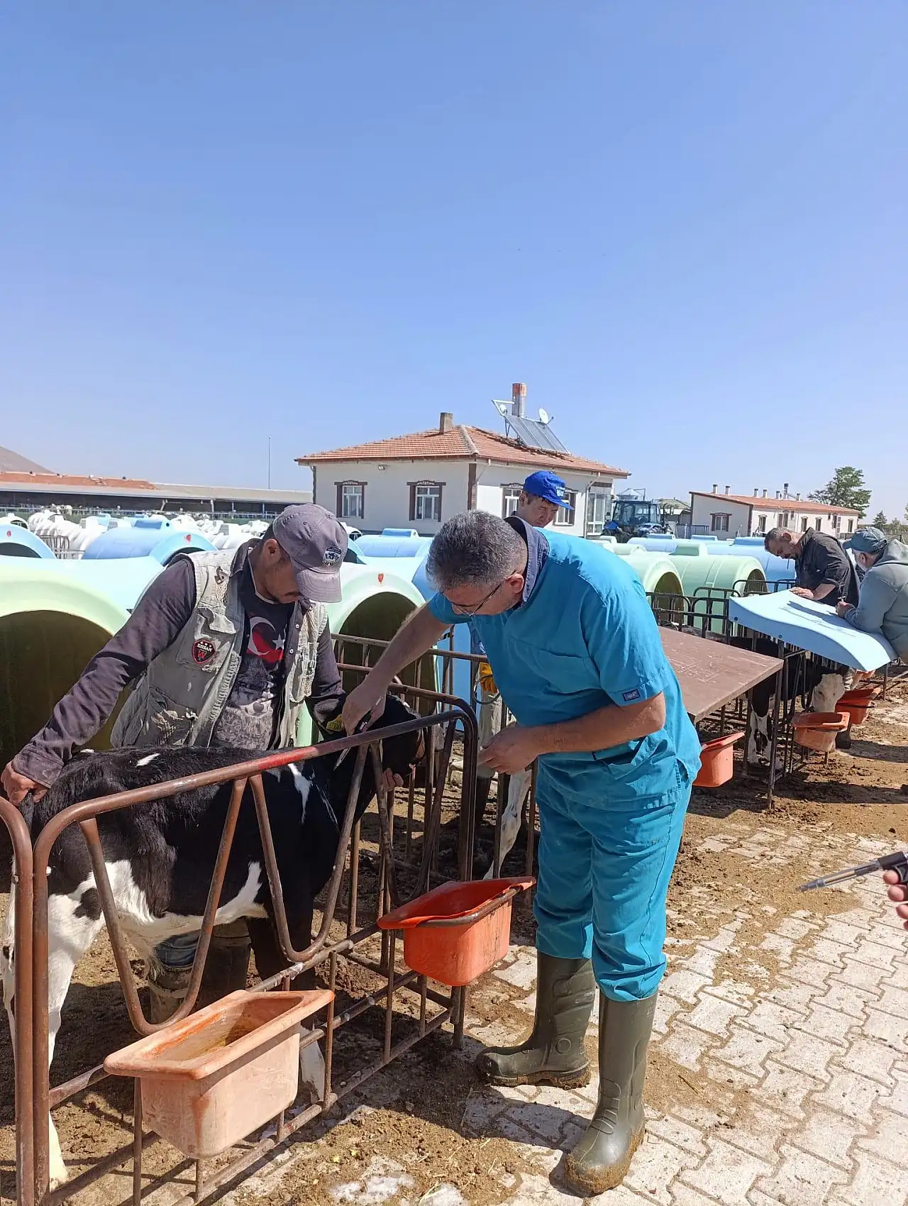 Konya'da hayvan sağlığı için sahada kapsamlı denetim mesaisi
